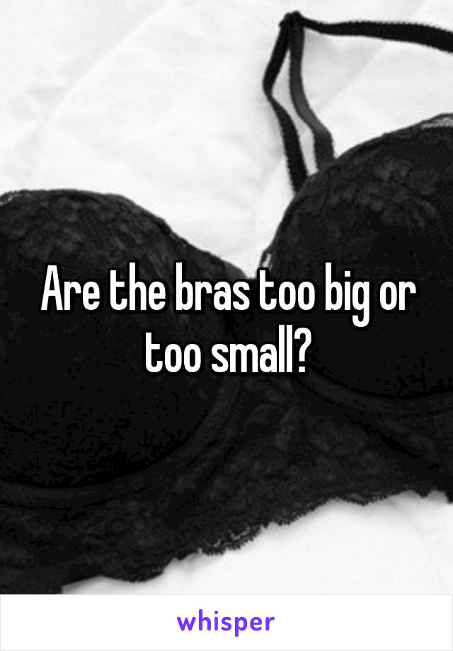 Are the bras too big or too small?