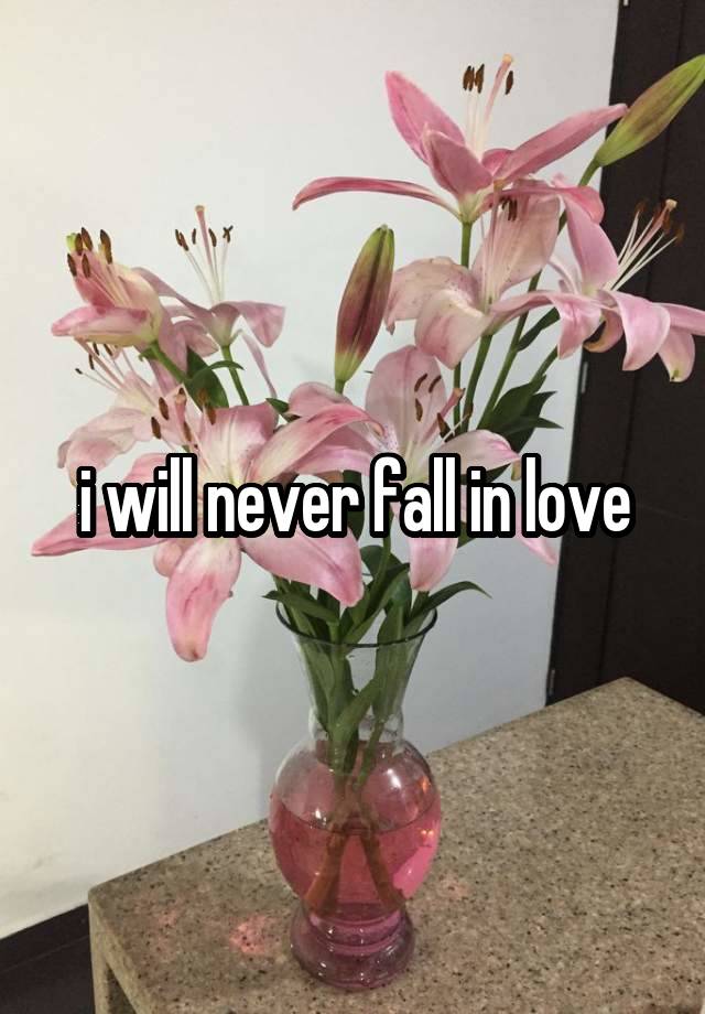 i will never fall in love