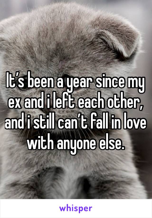 It’s been a year since my ex and i left each other, and i still can’t fall in love with anyone else.