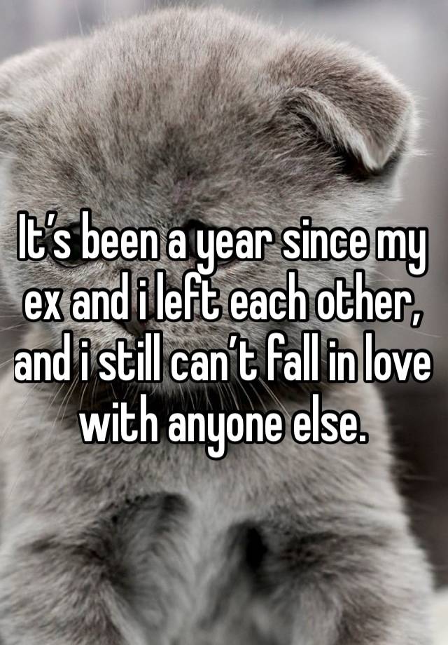 It’s been a year since my ex and i left each other, and i still can’t fall in love with anyone else.