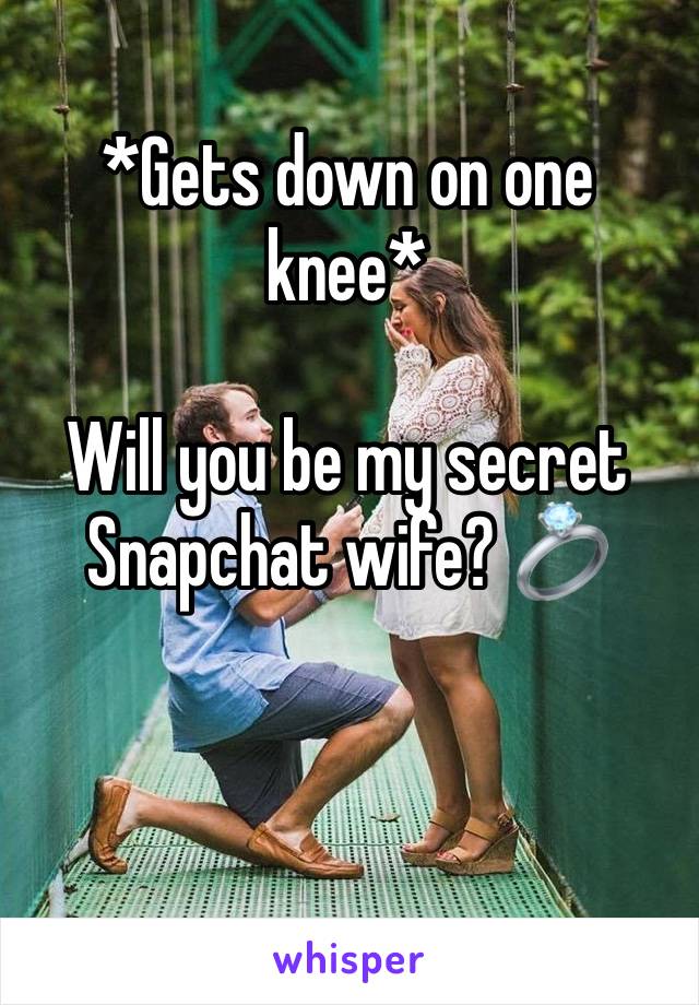 *Gets down on one knee*

Will you be my secret Snapchat wife? 💍