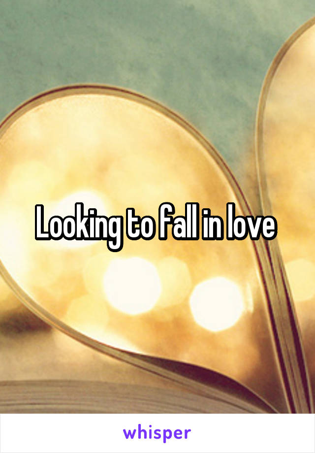 Looking to fall in love 