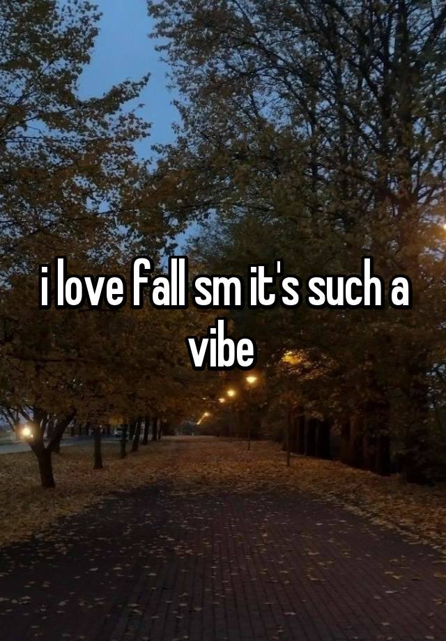 i love fall sm it's such a vibe 