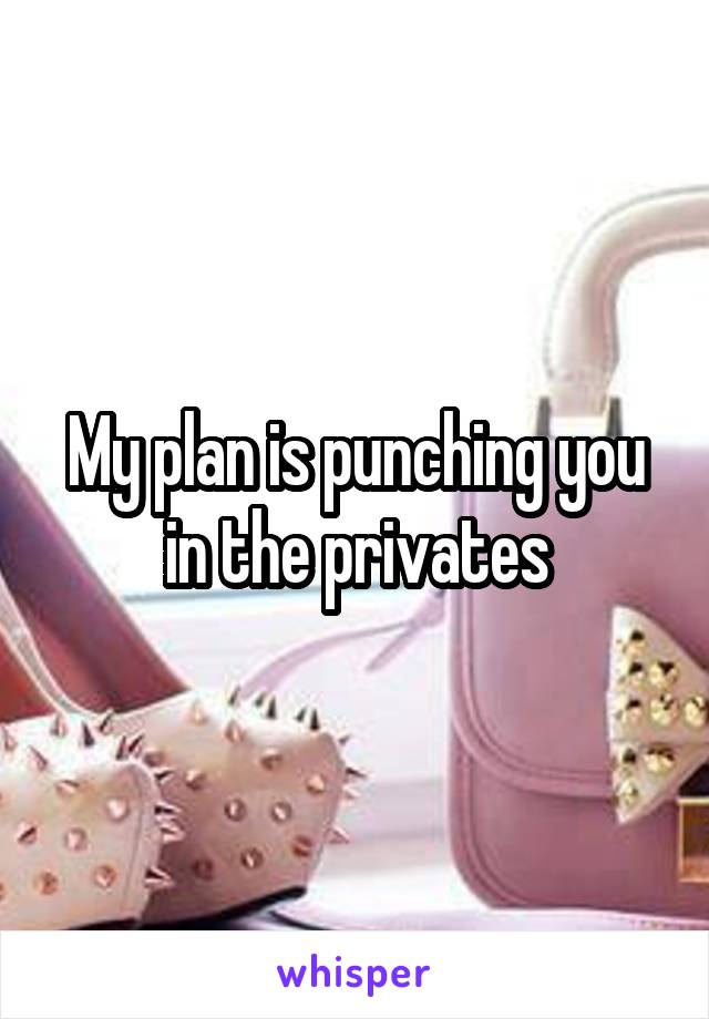 My plan is punching you in the privates