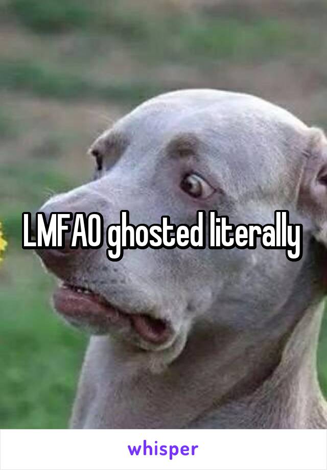 LMFAO ghosted literally 