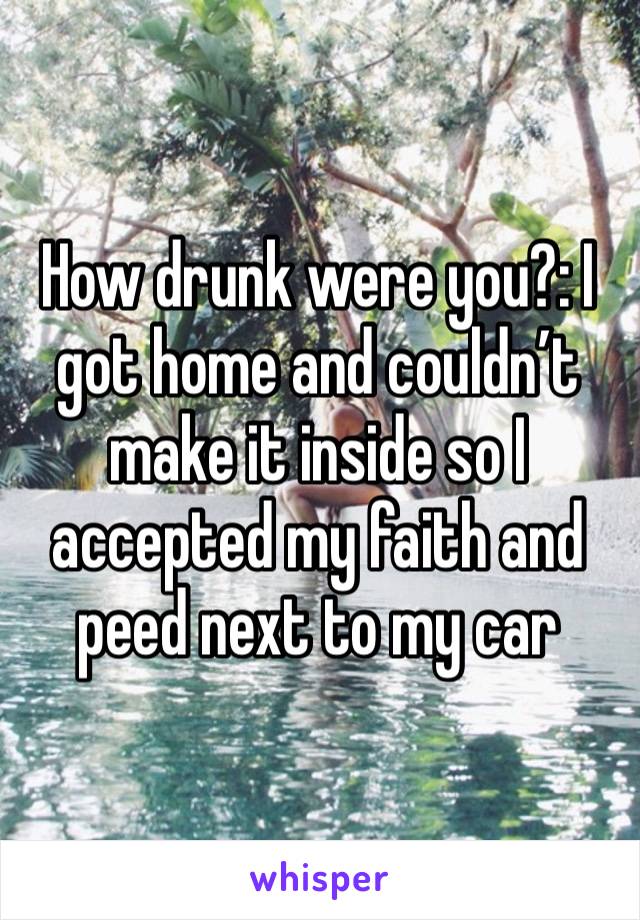 How drunk were you?: I got home and couldn’t make it inside so I accepted my faith and peed next to my car