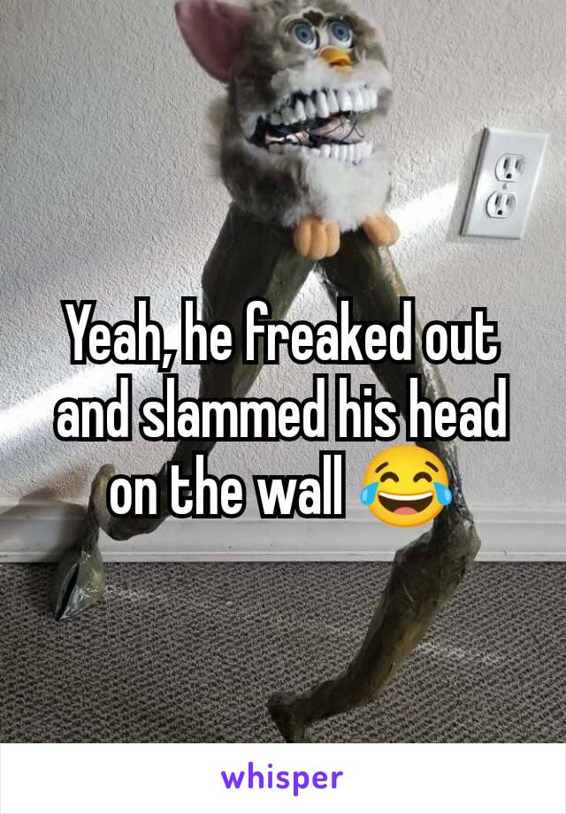 Yeah, he freaked out and slammed his head on the wall 😂