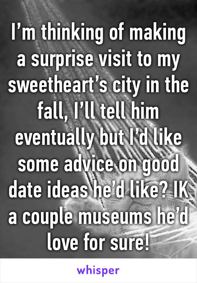 I’m thinking of making a surprise visit to my sweetheart’s city in the fall, I’ll tell him eventually but I’d like some advice on good date ideas he’d like? IK a couple museums he’d love for sure!