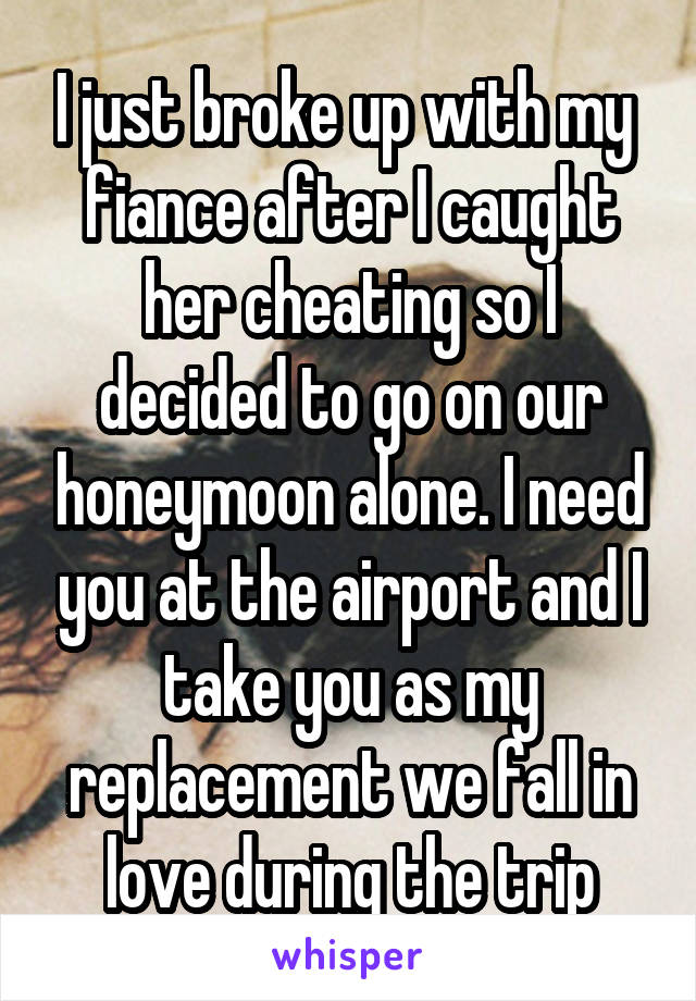 I just broke up with my 
fiance after I caught her cheating so I decided to go on our honeymoon alone. I need you at the airport and I take you as my replacement we fall in love during the trip