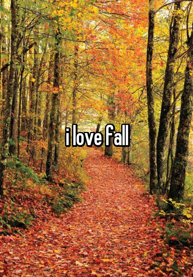 i love fall