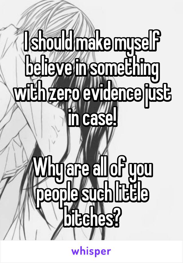 I should make myself believe in something with zero evidence just in case!

Why are all of you people such little bitches?