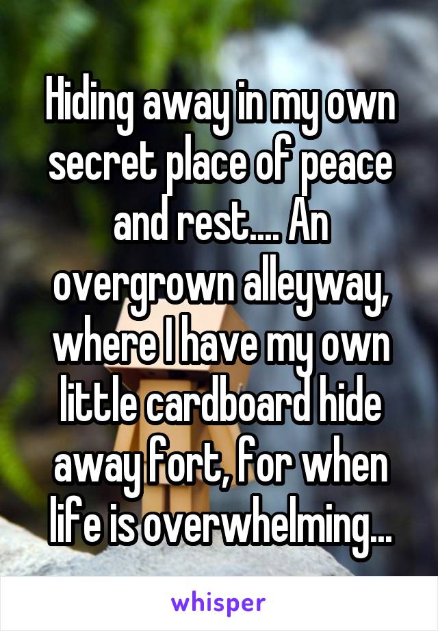 Hiding away in my own secret place of peace and rest.... An overgrown alleyway, where I have my own little cardboard hide away fort, for when life is overwhelming...