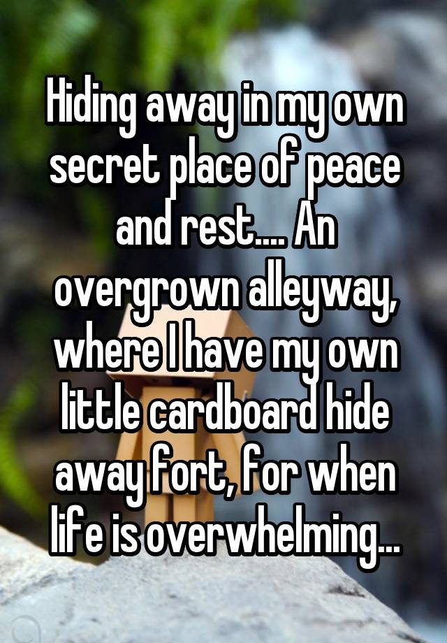 Hiding away in my own secret place of peace and rest.... An overgrown alleyway, where I have my own little cardboard hide away fort, for when life is overwhelming...