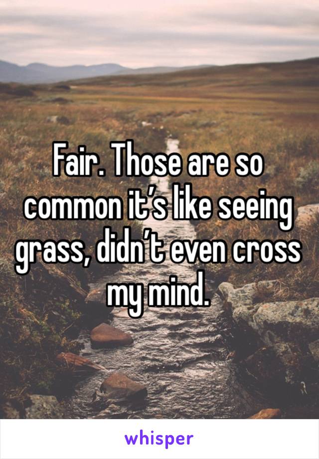 Fair. Those are so common it’s like seeing grass, didn’t even cross my mind.