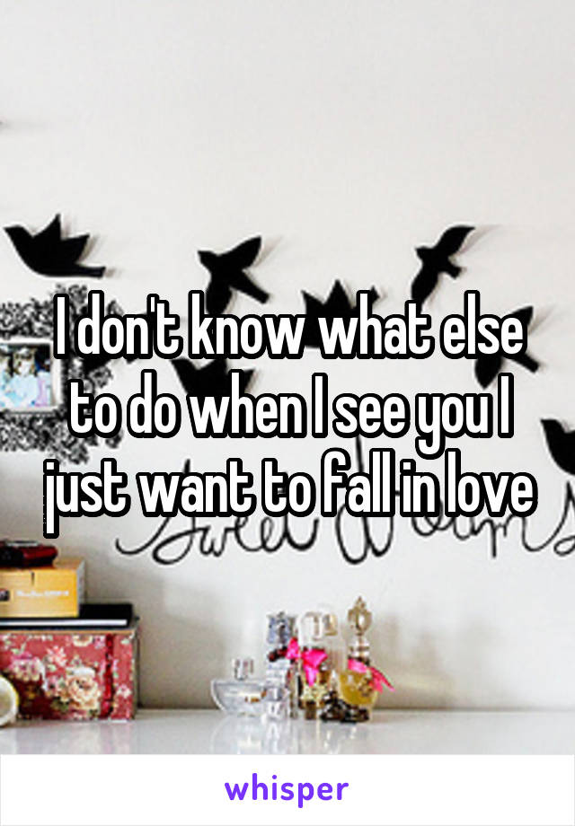 I don't know what else to do when I see you I just want to fall in love