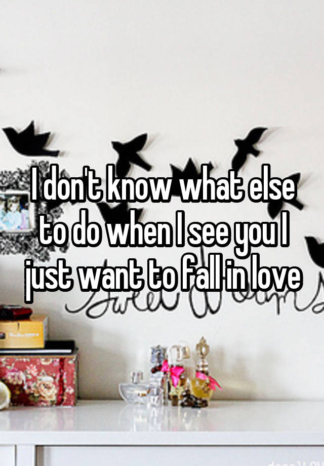 I don't know what else to do when I see you I just want to fall in love