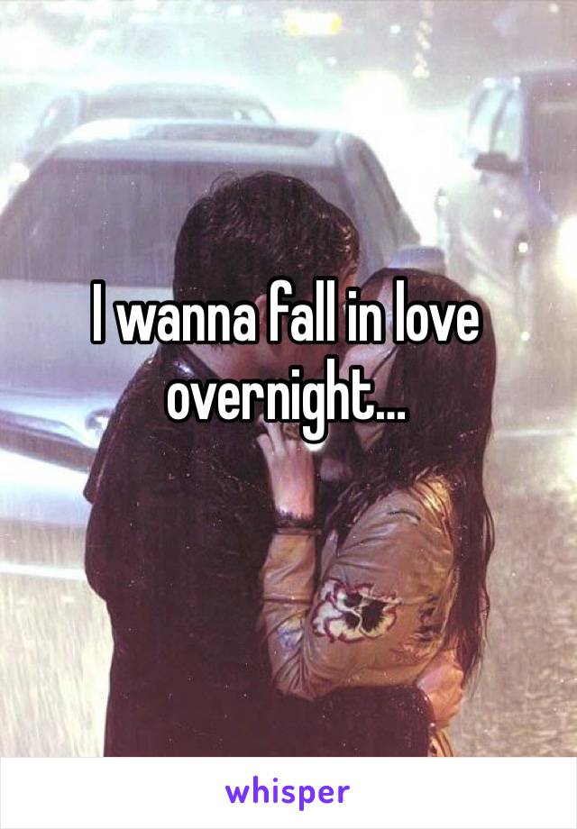 I wanna fall in love overnight… 