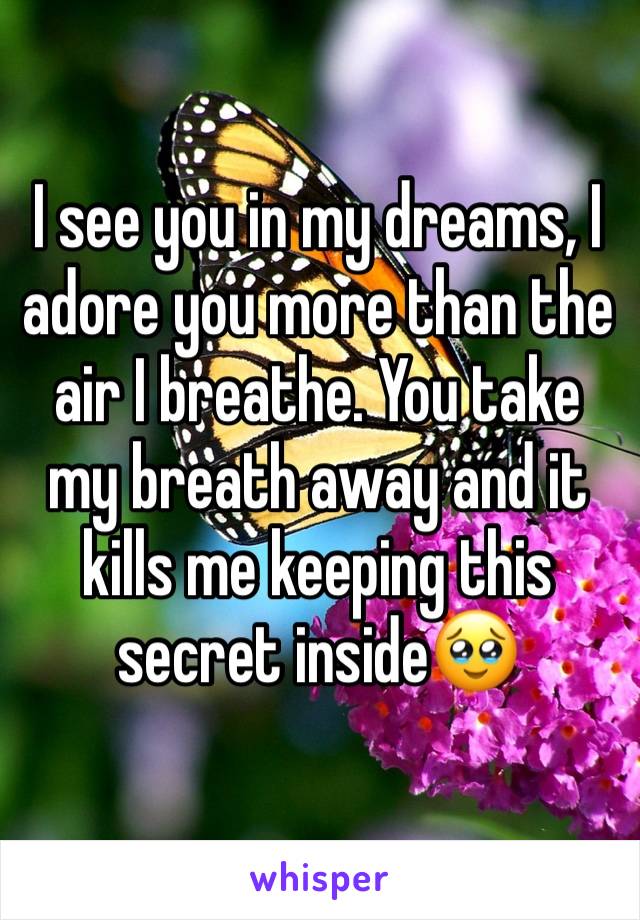 I see you in my dreams, I adore you more than the air I breathe. You take my breath away and it kills me keeping this secret inside🥹