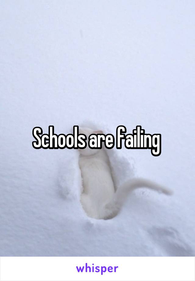 Schools are failing 