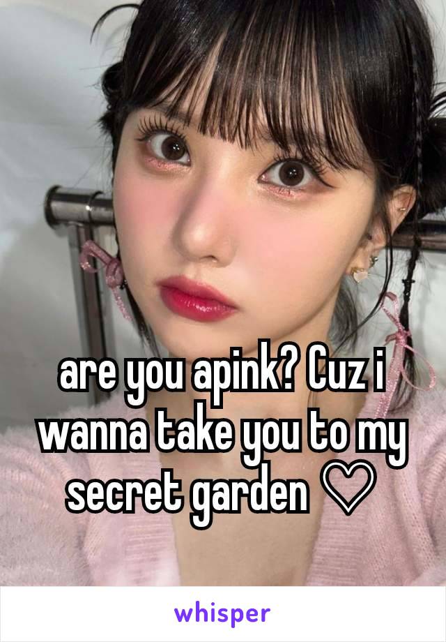 are you apink? Cuz i wanna take you to my secret garden ♡