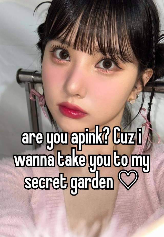 are you apink? Cuz i wanna take you to my secret garden ♡