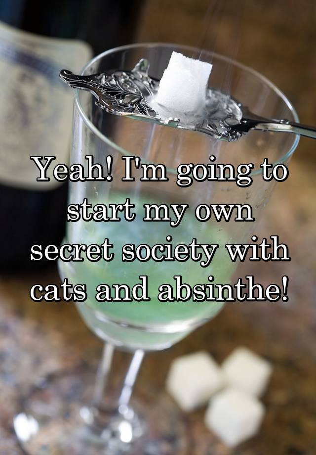 Yeah! I'm going to start my own secret society with cats and absinthe!