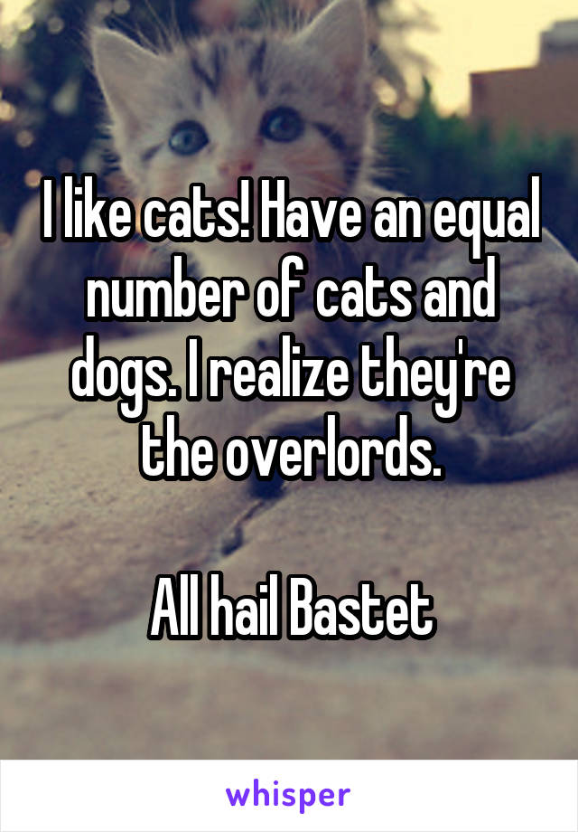 I like cats! Have an equal number of cats and dogs. I realize they're the overlords.

All hail Bastet