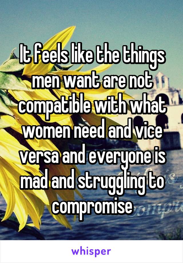 It feels like the things men want are not compatible with what women need and vice versa and everyone is mad and struggling to compromise