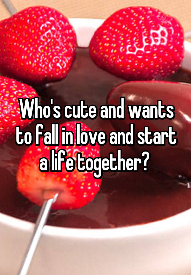 Who's cute and wants to fall in love and start a life together? 