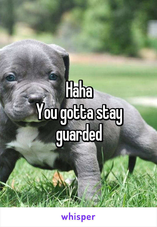 Haha
You gotta stay guarded