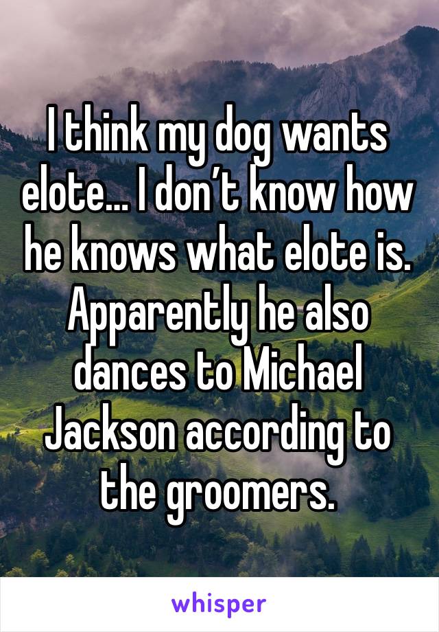 I think my dog wants elote… I don’t know how he knows what elote is. Apparently he also dances to Michael Jackson according to the groomers.