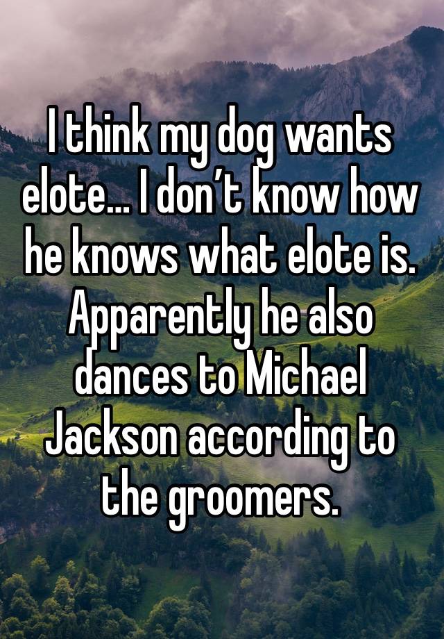 I think my dog wants elote… I don’t know how he knows what elote is. Apparently he also dances to Michael Jackson according to the groomers.