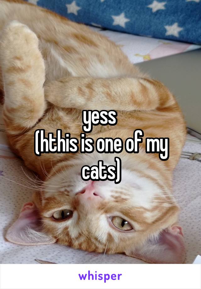 yess 
(hthis is one of my cats)