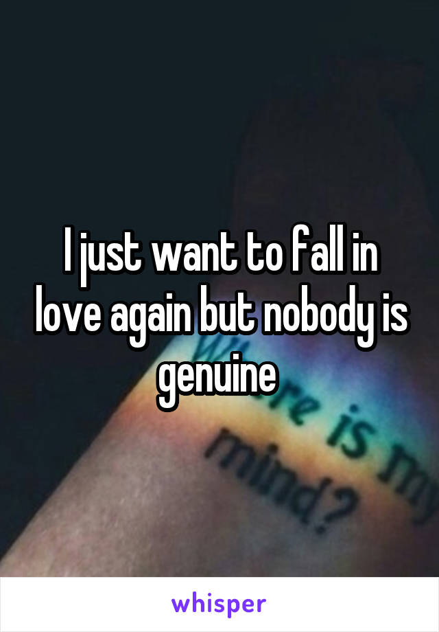 I just want to fall in love again but nobody is genuine 