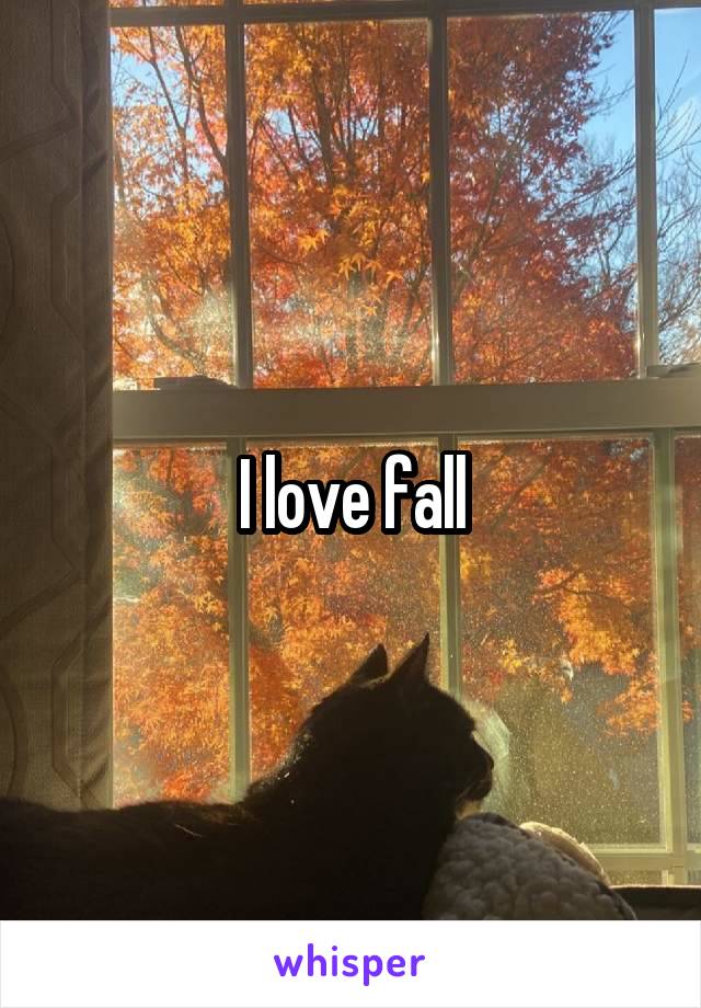 I love fall