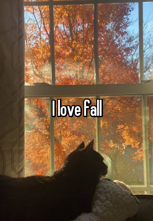 I love fall