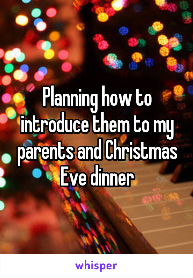 Planning how to introduce them to my parents and Christmas Eve dinner