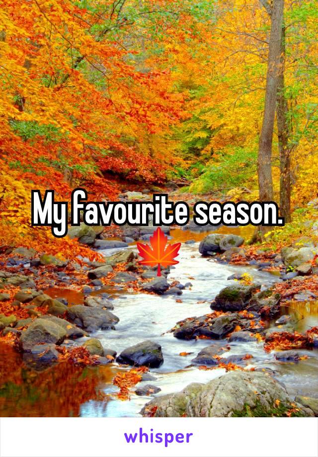 My favourite season. 🍁