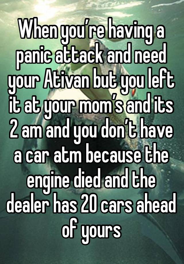 When you’re having a panic attack and need your Ativan but you left it at your mom’s and its 2 am and you don’t have a car atm because the engine died and the dealer has 20 cars ahead of yours 