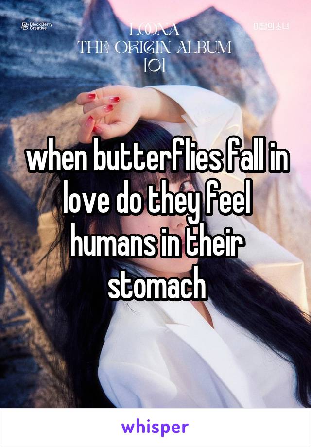 when butterflies fall in love do they feel humans in their stomach