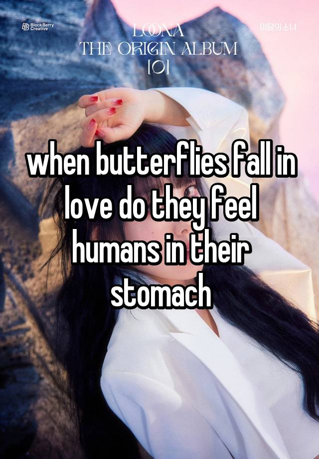 when butterflies fall in love do they feel humans in their stomach