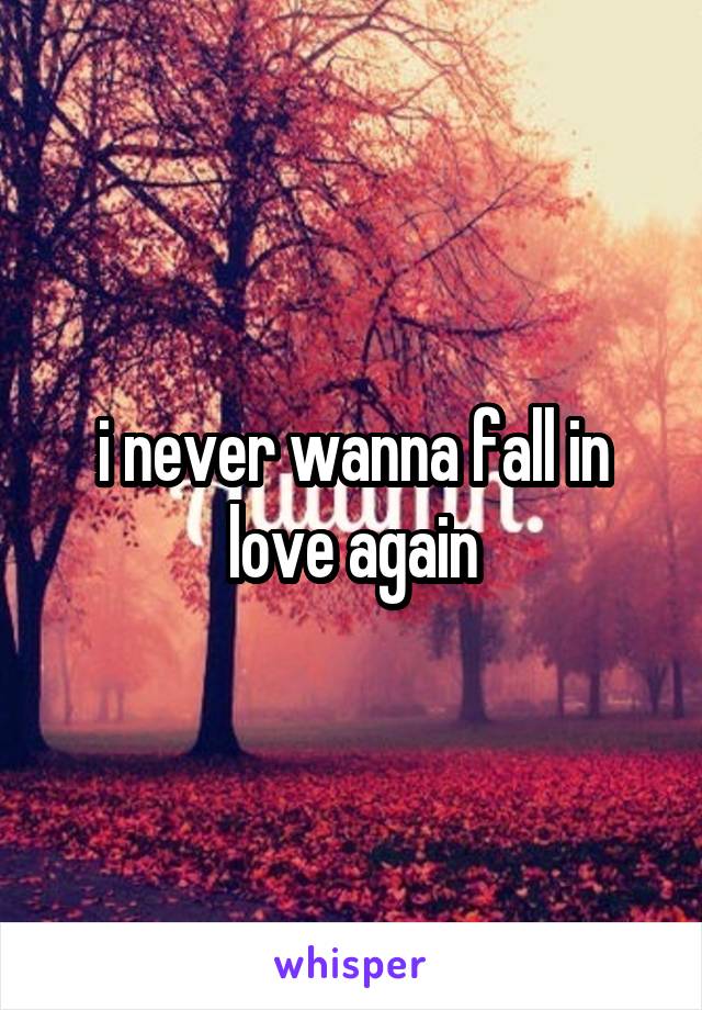 i never wanna fall in love again