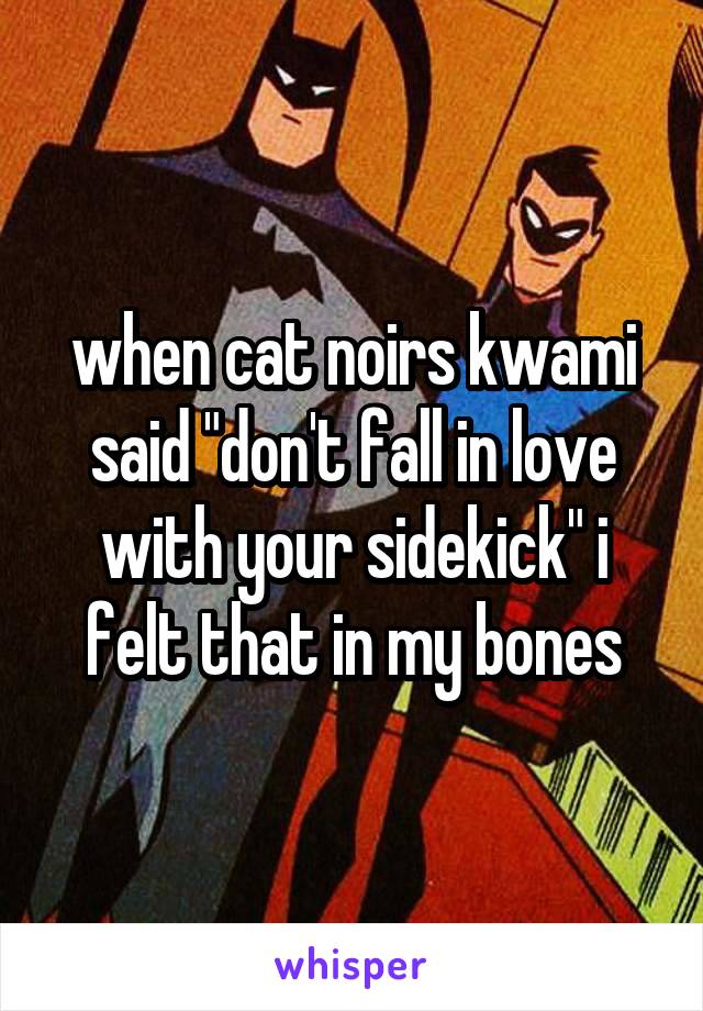 when cat noirs kwami said "don't fall in love with your sidekick" i felt that in my bones