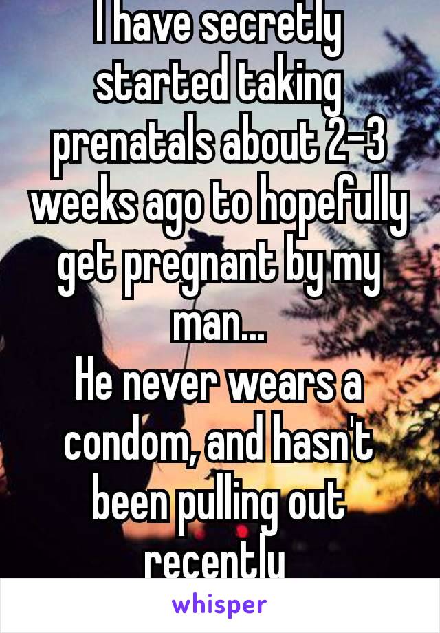 I have secretly started taking prenatals about 2-3 weeks ago to hopefully get pregnant by my man...
He never wears a condom, and hasn't been pulling out recently 
🤞