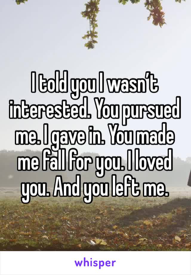 I told you I wasn’t interested. You pursued me. I gave in. You made me fall for you. I loved you. And you left me. 