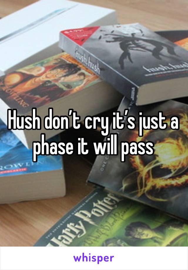 Hush don’t cry it’s just a phase it will pass