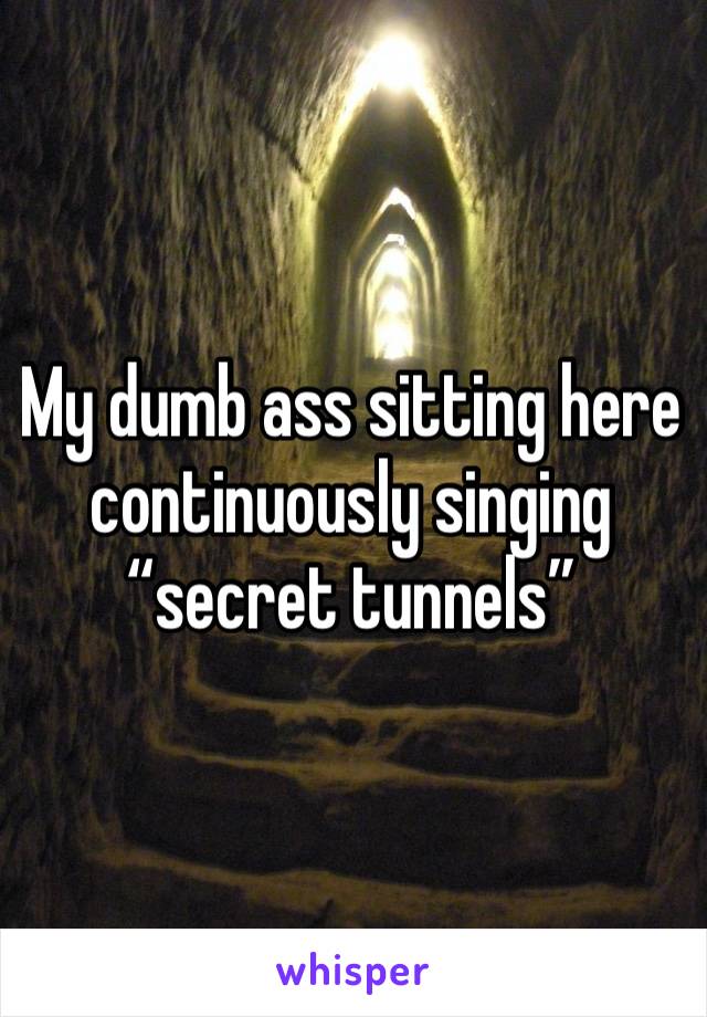 My dumb ass sitting here continuously singing “secret tunnels”