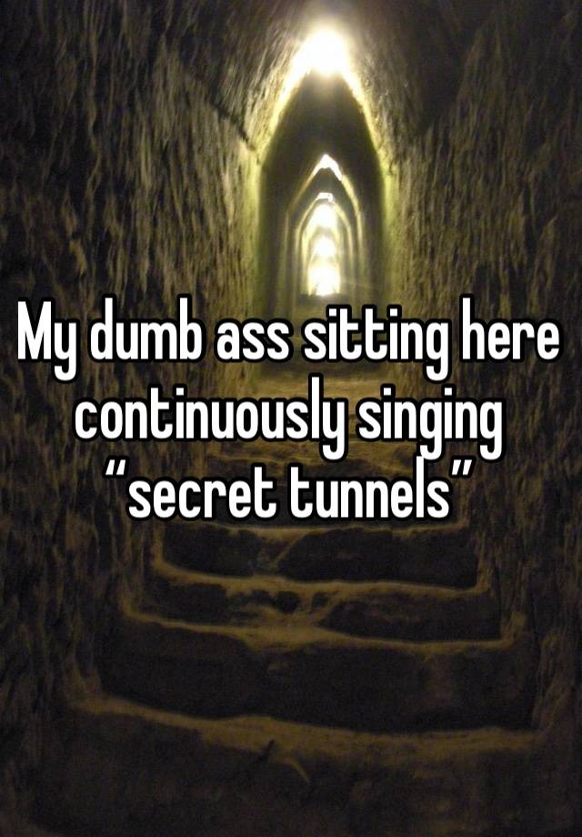 My dumb ass sitting here continuously singing “secret tunnels”