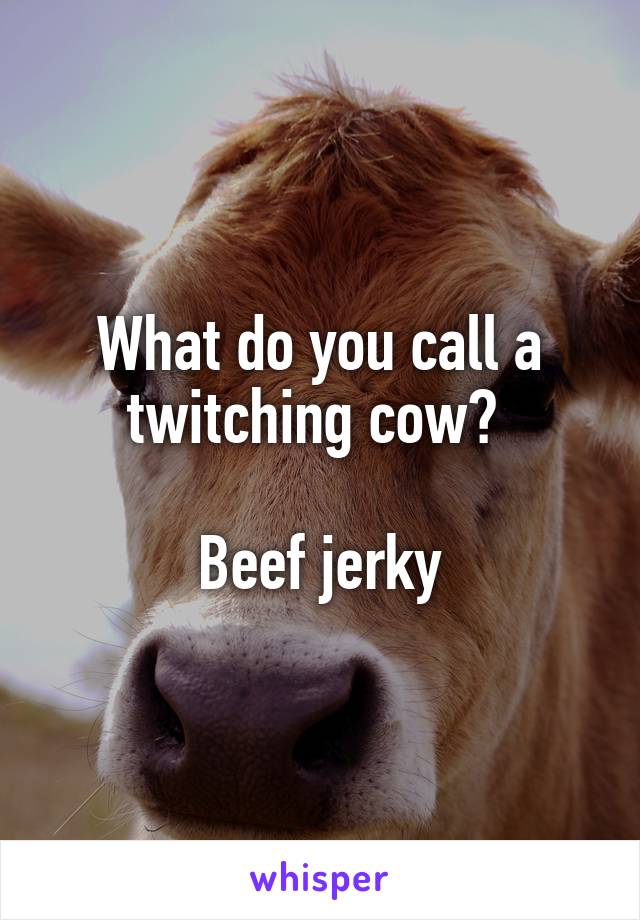 What do you call a twitching cow? 

Beef jerky