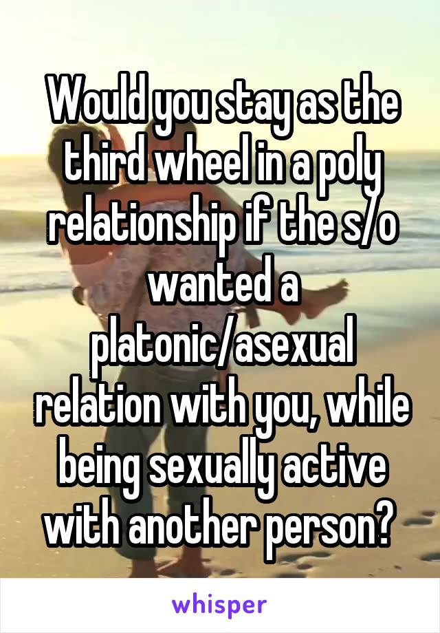 Would you stay as the third wheel in a poly relationship if the s/o wanted a platonic/asexual relation with you, while being sexually active with another person? 